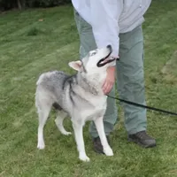 processed/a652f12a-d7e8-4a6b-ba2a-73d1d69cb0cc/facility/8c28d039-3ecd-4e28-9ae2-da06eebff0a7