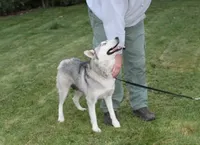 processed/a652f12a-d7e8-4a6b-ba2a-73d1d69cb0cc/facility/8c28d039-3ecd-4e28-9ae2-da06eebff0a7