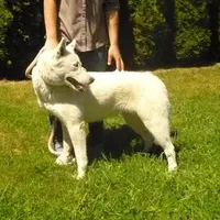 processed/a652f12a-d7e8-4a6b-ba2a-73d1d69cb0cc/facility/f0dbd318-de76-4adb-a536-4329de66a14a