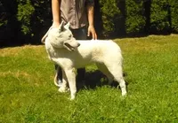 processed/a652f12a-d7e8-4a6b-ba2a-73d1d69cb0cc/facility/f0dbd318-de76-4adb-a536-4329de66a14a