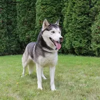 processed/a652f12a-d7e8-4a6b-ba2a-73d1d69cb0cc/facility/fd708ad0-db0c-42e3-bf93-81f520df9f6f