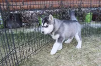 processed/a652f12a-d7e8-4a6b-ba2a-73d1d69cb0cc/listing/5266df9b-4a32-4128-a91c-51b6c4aae447/39b0a275-b3ce-4483-9527-70f1be2b0ad3