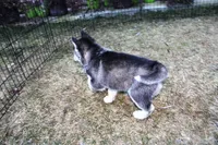 processed/a652f12a-d7e8-4a6b-ba2a-73d1d69cb0cc/listing/5266df9b-4a32-4128-a91c-51b6c4aae447/779db0e2-c80c-4bdc-8f7d-3a7e36ac0db6