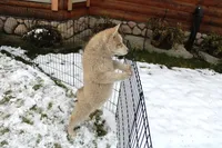 processed/a652f12a-d7e8-4a6b-ba2a-73d1d69cb0cc/listing/9e50d6d9-9b33-409f-a851-48ec05da419d/05968413-deeb-4f44-997c-f78ff6f2900d