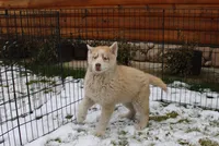 processed/a652f12a-d7e8-4a6b-ba2a-73d1d69cb0cc/listing/9e50d6d9-9b33-409f-a851-48ec05da419d/0886cb93-adea-4081-8fe1-a597240485d3