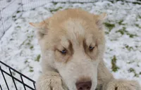 processed/a652f12a-d7e8-4a6b-ba2a-73d1d69cb0cc/listing/9e50d6d9-9b33-409f-a851-48ec05da419d/337cf783-f44e-4c24-924f-e8b2c5779ed2