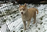 processed/a652f12a-d7e8-4a6b-ba2a-73d1d69cb0cc/listing/9e50d6d9-9b33-409f-a851-48ec05da419d/5e26b912-aa53-4630-ad20-9f2b818d5aa6