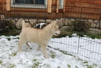 processed/a652f12a-d7e8-4a6b-ba2a-73d1d69cb0cc/listing/9e50d6d9-9b33-409f-a851-48ec05da419d/6f3fe7de-b4e2-4a0a-b464-463d999cb45d