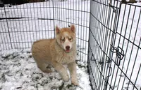 processed/a652f12a-d7e8-4a6b-ba2a-73d1d69cb0cc/listing/9e50d6d9-9b33-409f-a851-48ec05da419d/b5ae3b27-ab2d-4c27-bf5f-26f0a6e00544