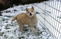 processed/a652f12a-d7e8-4a6b-ba2a-73d1d69cb0cc/listing/9e50d6d9-9b33-409f-a851-48ec05da419d/f27af80a-2660-4b53-a242-1b276f1665ac