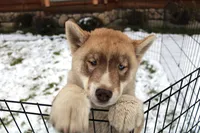 processed/a652f12a-d7e8-4a6b-ba2a-73d1d69cb0cc/listing/9f9773d6-70cc-4082-9d42-905772744aa9/13108708-df2e-49d6-bbb2-596553d88a3a