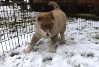 processed/a652f12a-d7e8-4a6b-ba2a-73d1d69cb0cc/listing/9f9773d6-70cc-4082-9d42-905772744aa9/4b2e94c3-e6bb-41de-9fe5-8ffaa0f29a96