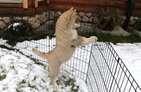 processed/a652f12a-d7e8-4a6b-ba2a-73d1d69cb0cc/listing/9f9773d6-70cc-4082-9d42-905772744aa9/d26a139d-d16a-496d-8e68-b45f589bd8bc