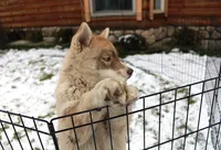 processed/a652f12a-d7e8-4a6b-ba2a-73d1d69cb0cc/listing/9f9773d6-70cc-4082-9d42-905772744aa9/d7979854-23ea-4870-9f50-658df81b6c3f