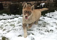 processed/a652f12a-d7e8-4a6b-ba2a-73d1d69cb0cc/listing/9f9773d6-70cc-4082-9d42-905772744aa9/f78777bf-e28d-4abb-b688-4e1be813213e