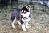 processed/a652f12a-d7e8-4a6b-ba2a-73d1d69cb0cc/listing/b7595e97-7233-4958-ab09-85cae310a596/57c81921-095b-400f-bd53-aeb2a7402e35