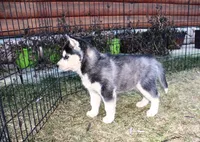 processed/a652f12a-d7e8-4a6b-ba2a-73d1d69cb0cc/listing/b7595e97-7233-4958-ab09-85cae310a596/70749d63-cc19-4f93-bdaa-17f7af74a28e