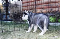 processed/a652f12a-d7e8-4a6b-ba2a-73d1d69cb0cc/listing/b7595e97-7233-4958-ab09-85cae310a596/9ebe62e9-f1c3-4bf5-830a-f364057fdfca