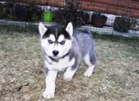 processed/a652f12a-d7e8-4a6b-ba2a-73d1d69cb0cc/listing/b7595e97-7233-4958-ab09-85cae310a596/a03ebf94-5621-47d4-9033-cdb08e9adb0f