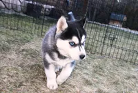 processed/a652f12a-d7e8-4a6b-ba2a-73d1d69cb0cc/listing/b7595e97-7233-4958-ab09-85cae310a596/a07b25b1-361e-49cd-b6e8-e086b27dcd30