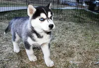 processed/a652f12a-d7e8-4a6b-ba2a-73d1d69cb0cc/listing/b7595e97-7233-4958-ab09-85cae310a596/bac38da4-32c8-4836-a6f7-e9f1d13f2053