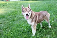 processed/a652f12a-d7e8-4a6b-ba2a-73d1d69cb0cc/listing/eb986dba-dff7-4244-9b54-52ad28c1fd4f/02487841-164f-40ba-91e3-548705c1d530