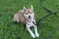 processed/a652f12a-d7e8-4a6b-ba2a-73d1d69cb0cc/listing/eb986dba-dff7-4244-9b54-52ad28c1fd4f/80c8baef-bd75-478d-ad43-d8397c438599