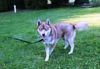 processed/a652f12a-d7e8-4a6b-ba2a-73d1d69cb0cc/listing/eb986dba-dff7-4244-9b54-52ad28c1fd4f/a5c2d298-1d41-47f4-aa97-15fd0779ce70