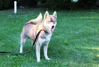 processed/a652f12a-d7e8-4a6b-ba2a-73d1d69cb0cc/listing/eb986dba-dff7-4244-9b54-52ad28c1fd4f/ca36076a-ba22-41db-b84d-7e4eadd03780