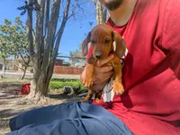 processed/a656a26f-1ed7-4174-af38-5d9ee899d717/listing/9c769009-b013-4281-8bd9-82acb7b55c67/418a0ade-1b2b-4176-97c4-b753a65d2d77