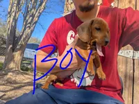 processed/a656a26f-1ed7-4174-af38-5d9ee899d717/listing/9c769009-b013-4281-8bd9-82acb7b55c67/59771077-54f0-48f3-8ac9-f204750db452