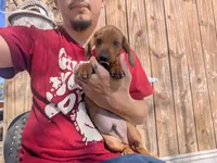 processed/a656a26f-1ed7-4174-af38-5d9ee899d717/listing/9c769009-b013-4281-8bd9-82acb7b55c67/63d807e8-9efe-48f3-a838-85b318a38ef9