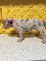 processed/a65b2524-cc25-41de-a726-cee7e4f39ba3/listing/4d3a11c3-784d-414f-9962-59edfa6cc7b3/a63d9a5b-63a0-4fe7-80da-7ac99bb3c6eb