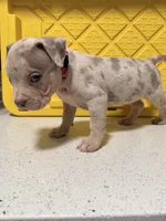 processed/a65b2524-cc25-41de-a726-cee7e4f39ba3/listing/4d3a11c3-784d-414f-9962-59edfa6cc7b3/ef1760e6-c311-4be1-a8d0-224e81e9caff