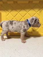 processed/a65b2524-cc25-41de-a726-cee7e4f39ba3/listing/e578123e-392e-4914-afe2-ba7b28833658/745e1533-4c6b-4382-9497-8b6d419165af