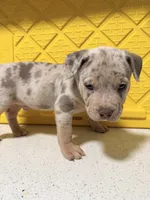 processed/a65b2524-cc25-41de-a726-cee7e4f39ba3/listing/e578123e-392e-4914-afe2-ba7b28833658/fde056ca-0c88-4e9e-9567-6a536fdc7268