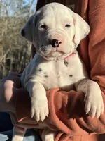 processed/a66cc0df-4409-4253-bdf4-58bc92d29d89/listing/4da2efa9-524a-4c92-853b-8a4093bfb7fd/5b0118e5-fb0d-4f14-80e0-2609e9590bd1