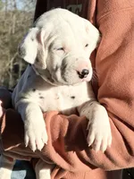 processed/a66cc0df-4409-4253-bdf4-58bc92d29d89/listing/4da2efa9-524a-4c92-853b-8a4093bfb7fd/7fbfee2c-0c2e-4d56-b50e-0e82113687c4