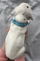 processed/a66cc0df-4409-4253-bdf4-58bc92d29d89/listing/77b3506d-2d7c-4a30-bbd1-fea3302ce1e6/5003fae8-5662-4980-8794-ada04a8aa716