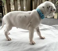 processed/a66cc0df-4409-4253-bdf4-58bc92d29d89/listing/77b3506d-2d7c-4a30-bbd1-fea3302ce1e6/c3224150-f32f-4711-b57e-b30914749af5