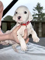 processed/a66cc0df-4409-4253-bdf4-58bc92d29d89/listing/b31273bb-6c38-48cc-a070-efb4a49f907d/cf9bf321-0b48-444f-bd1a-0f0b3a575c22