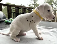 processed/a66cc0df-4409-4253-bdf4-58bc92d29d89/listing/f6a6a2a9-4474-4858-be41-8f58fbdda638/f9f57c4d-57fb-401a-baee-21efa5f32839