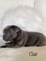 processed/a66ebf62-c070-4ccb-9b29-80ebed96aee1/listing/4664e4c8-e8fe-4725-994d-329ae0a50e15/7ec997f5-ef60-4c21-96e9-3883d404c335