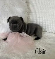 processed/a66ebf62-c070-4ccb-9b29-80ebed96aee1/listing/4664e4c8-e8fe-4725-994d-329ae0a50e15/8cc71937-067c-4b5c-9325-fcf44faa60b7