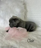 processed/a66ebf62-c070-4ccb-9b29-80ebed96aee1/listing/4664e4c8-e8fe-4725-994d-329ae0a50e15/ab3c7069-bded-4fa2-a917-90a40e1cad22