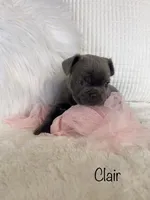 processed/a66ebf62-c070-4ccb-9b29-80ebed96aee1/listing/4664e4c8-e8fe-4725-994d-329ae0a50e15/d0617c6c-9cb1-45d9-b8f8-a0334caf5b4f