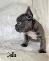 processed/a66ebf62-c070-4ccb-9b29-80ebed96aee1/listing/4b288145-7558-43b0-8dc2-cb53c99e63be/13ee04cd-38e5-48b4-b860-d0f8e1e0e64f