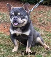 processed/a66ebf62-c070-4ccb-9b29-80ebed96aee1/listing/4b288145-7558-43b0-8dc2-cb53c99e63be/37c35907-152e-43a4-bdc2-181ad1c15df4