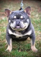 processed/a66ebf62-c070-4ccb-9b29-80ebed96aee1/listing/4b288145-7558-43b0-8dc2-cb53c99e63be/6298d5f4-53dd-442c-a15d-aa49708c2ffd