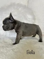 processed/a66ebf62-c070-4ccb-9b29-80ebed96aee1/listing/4b288145-7558-43b0-8dc2-cb53c99e63be/bc8f583c-098d-4f2e-8eb0-ab8d7cb6590e